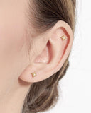 Kit Heath Céleste North Star Golden Petite Stud Earrings