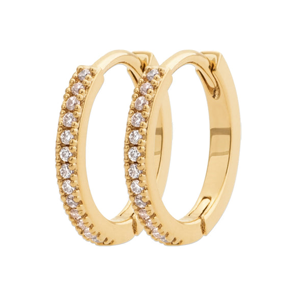 Burren Don't Believe The Hype Earrings