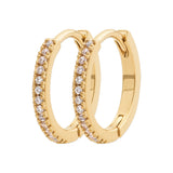 Burren Don't Believe The Hype Earrings