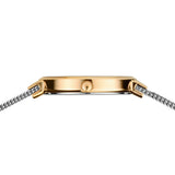 Bering |Classic | polished