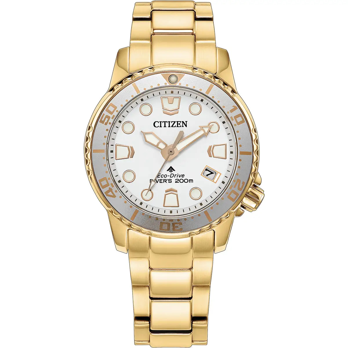 Citizen Promaster Gold Tone
