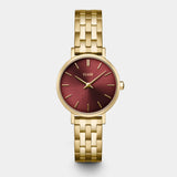 Cluse Boho Chic Petite Watch Steel, Dark Cherry, Gold Colour Bracelet Watch