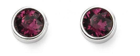 Sterling Silver February Birthstone Earrings