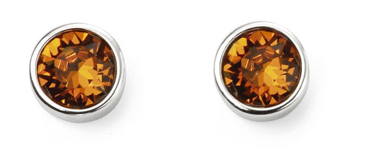 Sterling Silver November Birthstone Earrings